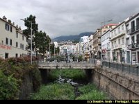 Portugal - Madere - Funchal - 067